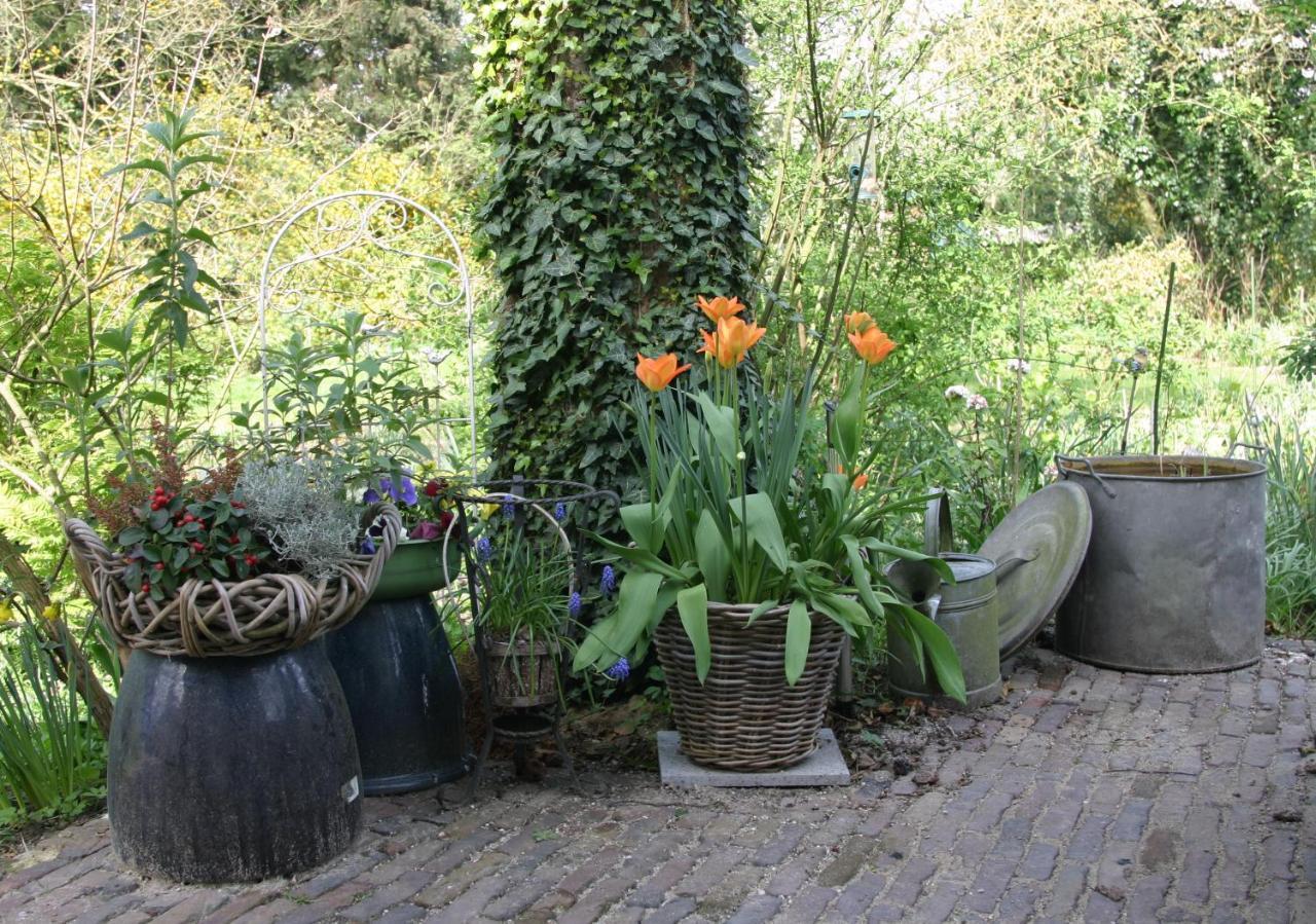 Bed and Breakfast Huys En Hoff Aen Den Haspel Oirschot Exterior foto